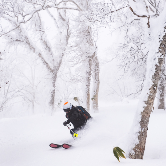 Skier in Japan powder